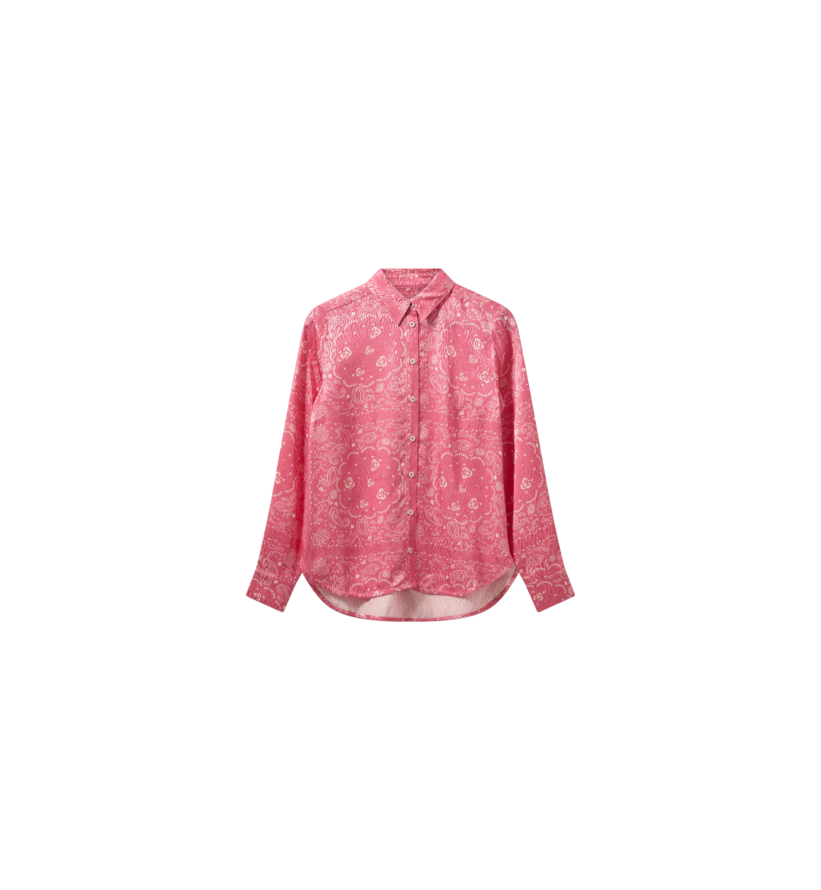 Packshot / Camellia Rose / Front